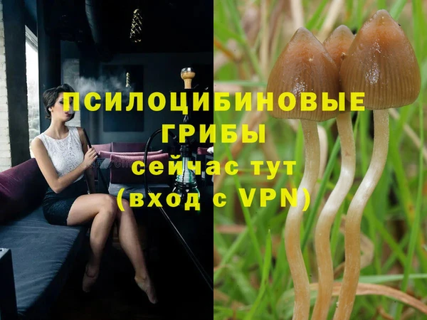 героин Алексин