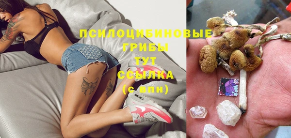 спиды Алексеевка