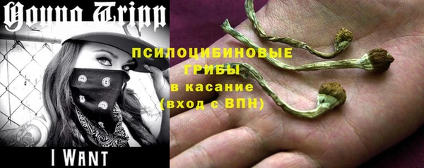 героин Алексин