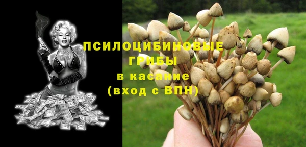 героин Алексин