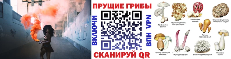 Галлюциногенные грибы прущие грибы  мега вход  darknet формула  Ейск 
