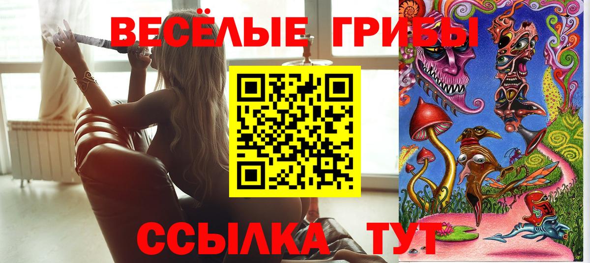 Псилоцибиновые грибы Psilocybe  Вход с VPN  Ейск  Галлюциногенные грибы мухоморы 